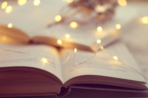 Ringelnatz Morgenstern und andere Dummheiten