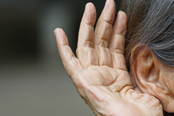 Hoeren das Tor zur Aussenwelt 2025