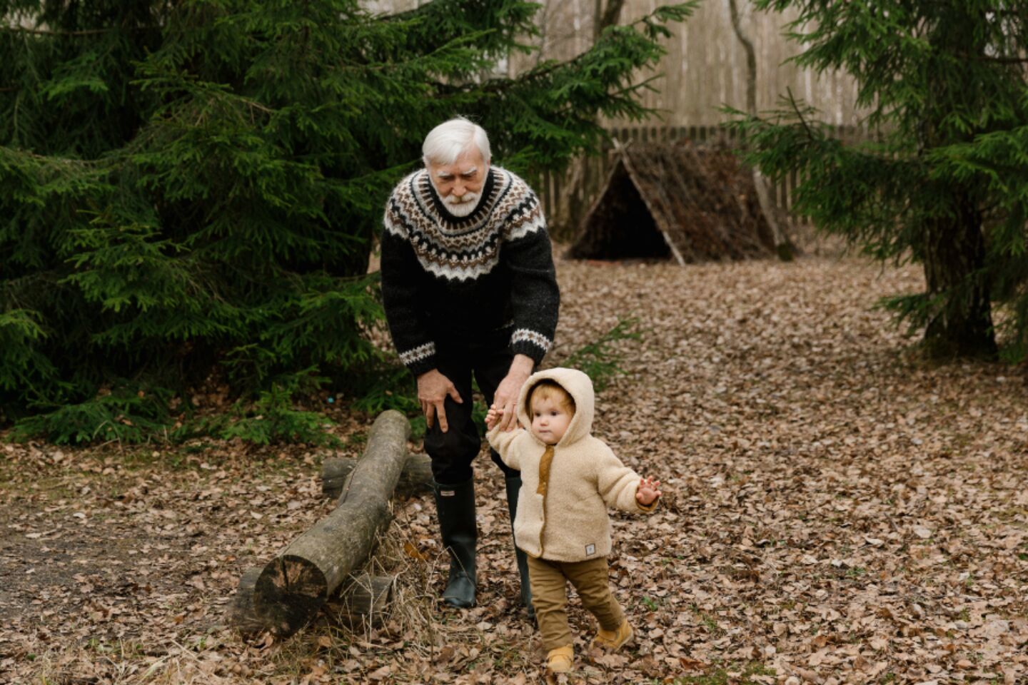 Generationen im Wald